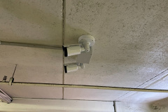 52503010826_b6bb45ecf1_o