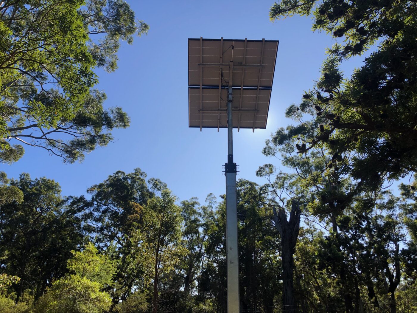 Queensland Parks and Wildlife (QPWS) Case Study — Sensor Dynamics